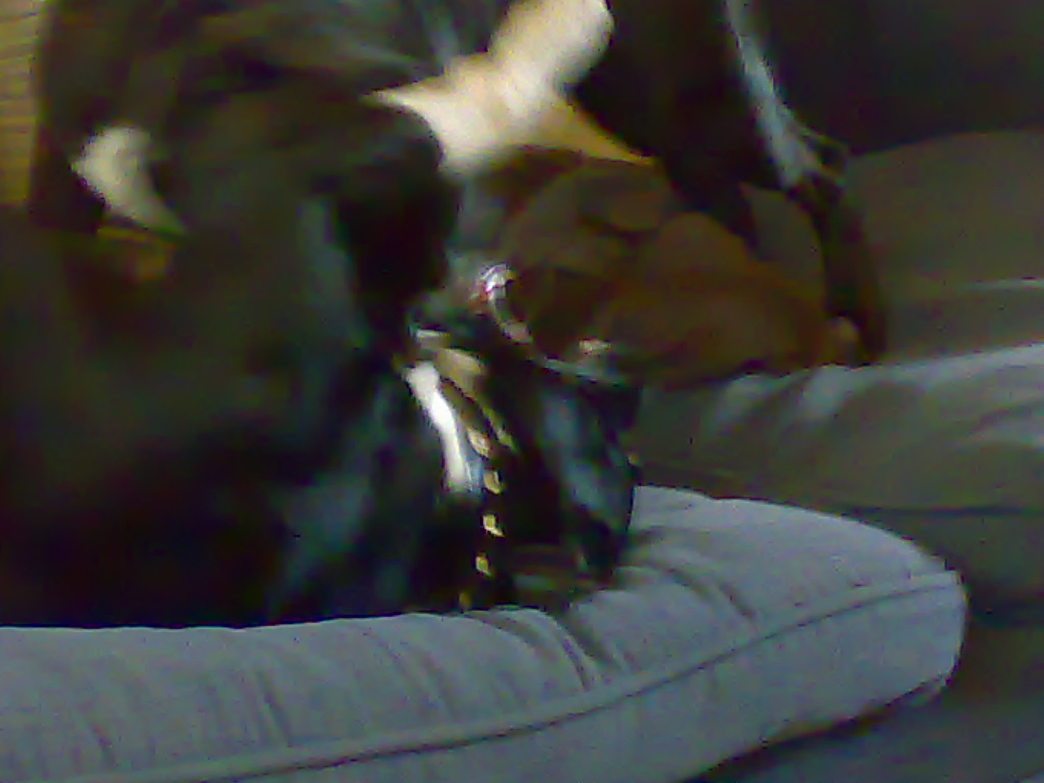 12032008217.jpg
