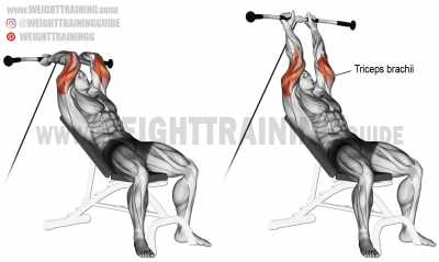 Cable Incline Overhead Extensions