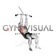Cable Incline Back Pushdown